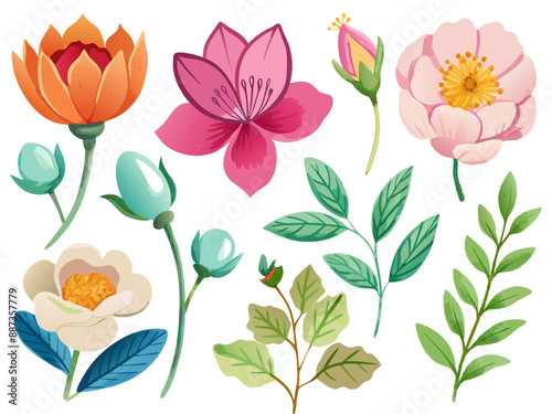 Fototapeta Naklejka Na Ścianę i Meble -  set of separate parts of flowers in watercolors