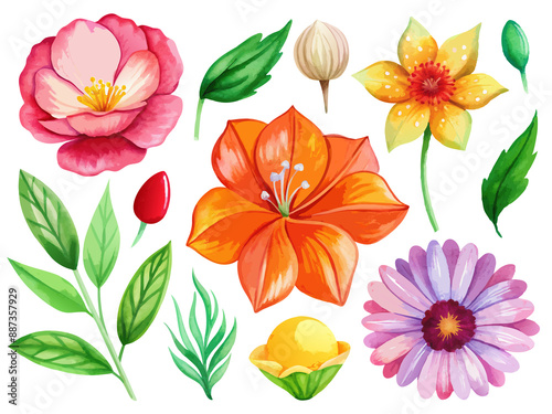 Fototapeta Naklejka Na Ścianę i Meble -  set of separate parts of flowers in watercolors
