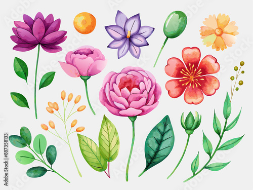 Fototapeta Naklejka Na Ścianę i Meble -  set of separate parts of flowers in watercolors