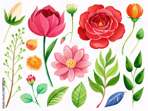 Fototapeta Naklejka Na Ścianę i Meble -  set of separate parts of flowers in watercolors