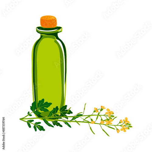 Vector drawing green glass bottle and yellow flowers of canola isolated at white background,rapeseed oil, colza, hand drawn illustration