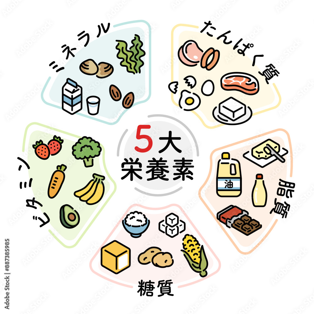 五代栄養素