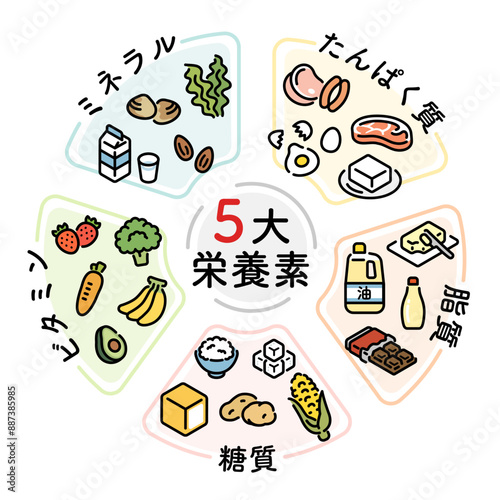 五代栄養素