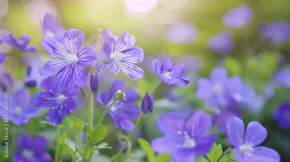 Purple flowers on beautiful blurred backgrounds : Generative AI Purple flowers on beautiful blurred backgrounds : Generative AI