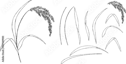 ペンで描いた稲穂のパーツセット