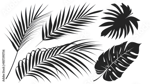 Tropical Leaf Silhouette Collection