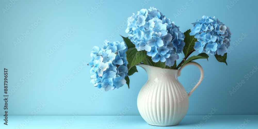 Blue hydrangeas in a white porcelain pitcher, against a solid light blue background