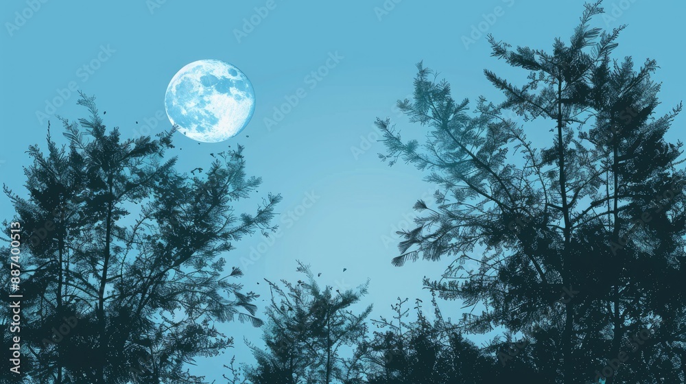 A beautiful landscape of pine tree tops against the blue sky with the moon A beautiful landscape of pine tree tops against the blue sky with the moon