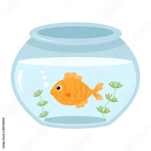 Aquarium fish bowl with gold fish and algae on white background.