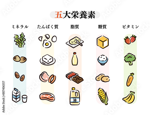 五大栄養素