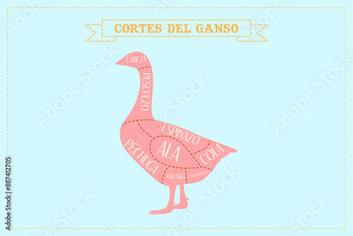 Diagrama de cortes del Ganso.