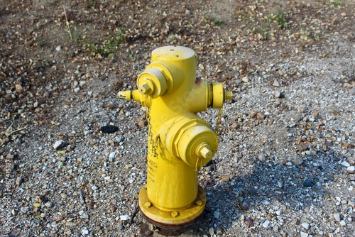 yellow fire hydrant