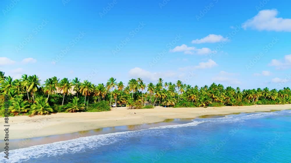 Summer sunny day on a Caribbean beach with colorful palm trees on white sand. Blue ocean background. Wild beach landscape, copy space. Travel to a tropical paradise. Summer sunny day on a Caribbean beach with colorful palm trees on white sand. Blue ocean background. Wild beach landscape, copy space. Travel to a tropical paradise.