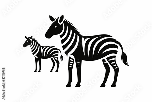 zebra vector illustration