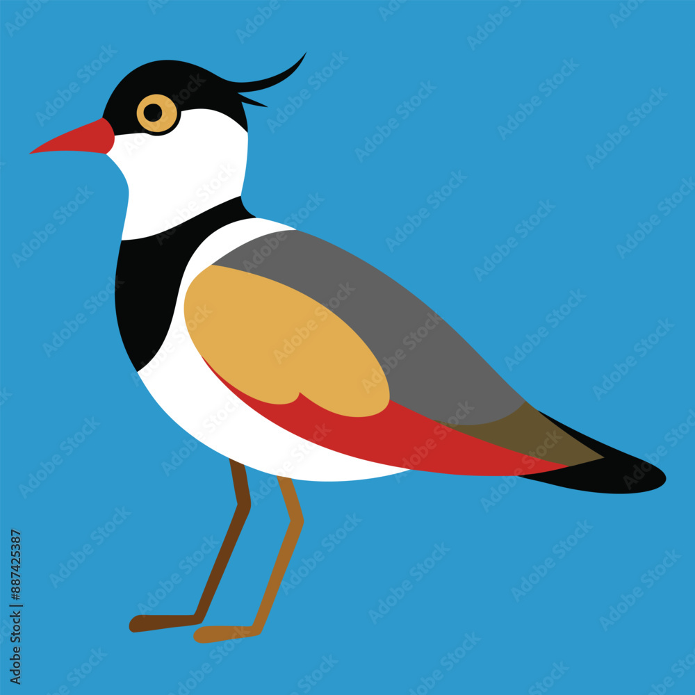 Fototapeta premium Lapwing bird vector illustration, Lapwing vector, icon, logo, png. 
