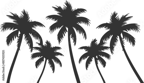 Coconut trees vector set icons silhouettes style with white background
