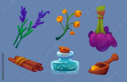Herbal medicine collection for prepare of homeopathic and aromatherapy drug. Herbs and berries for natural pharmacy. Cartoon vector illustration set for naturopathy and homeopathy healing elixir.