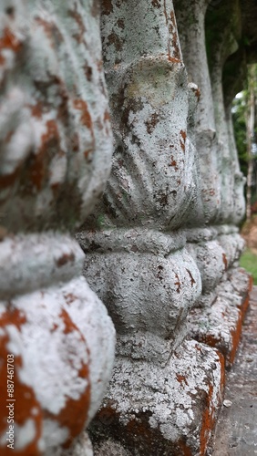 picture of a part of dirty mossy fence. a bit gross but looks aesthetically pleasing and vintage. used for wallpaper or bakcground.
