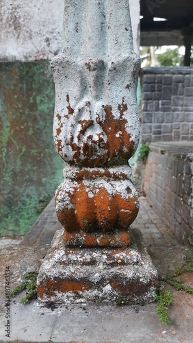 picture of a part of dirty mossy fence. a bit gross but looks aesthetically pleasing and vintage. used for wallpaper or bakcground.
