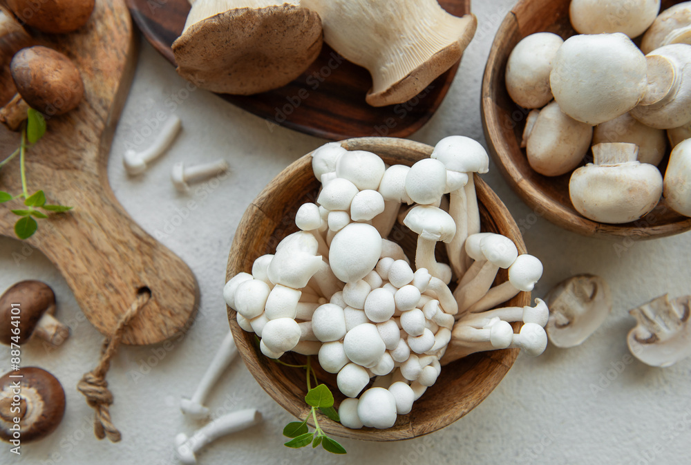 Assortment of various raw mushrooms on gray concrete background. Assortment of various raw mushrooms on gray concrete background.