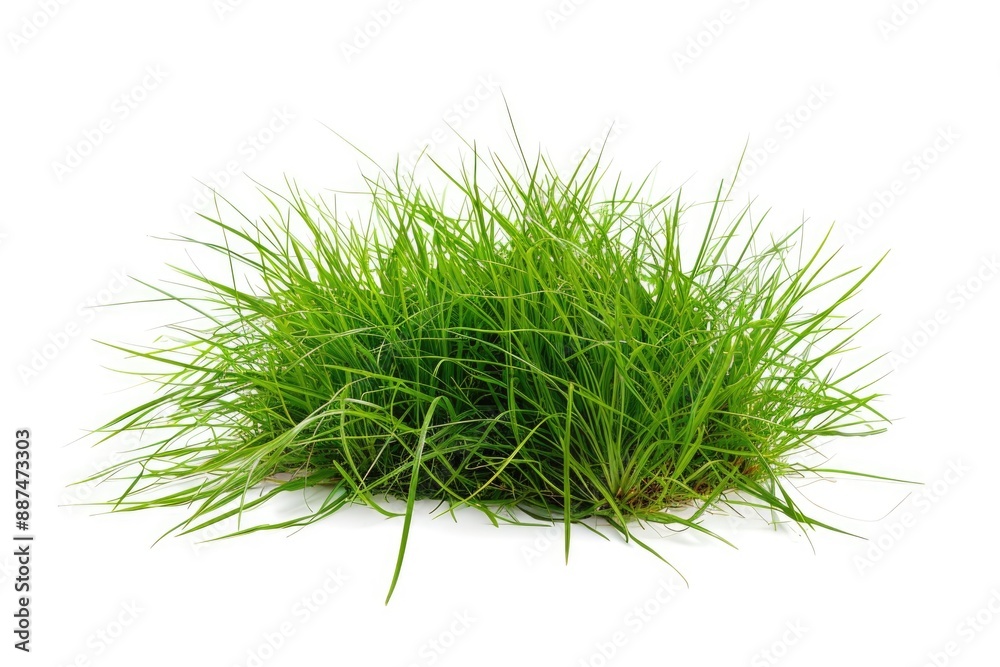 A pile of fresh green grass on a clean white surface A pile of fresh green grass on a clean white surface