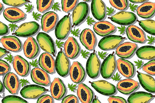 seamless pattern papaya vector drawing