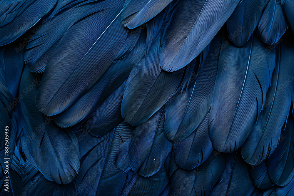 Abstract background with a blue feather texture, in a macro shot. An elegant dark wallpaper for design and presentation. A close up of a bird feather on a navy color. Shiny, glossy. Abstract background with a blue feather texture, in a macro shot. An elegant dark wallpaper for design and presentation. A close up of a bird feather on a navy color. Shiny, glossy.