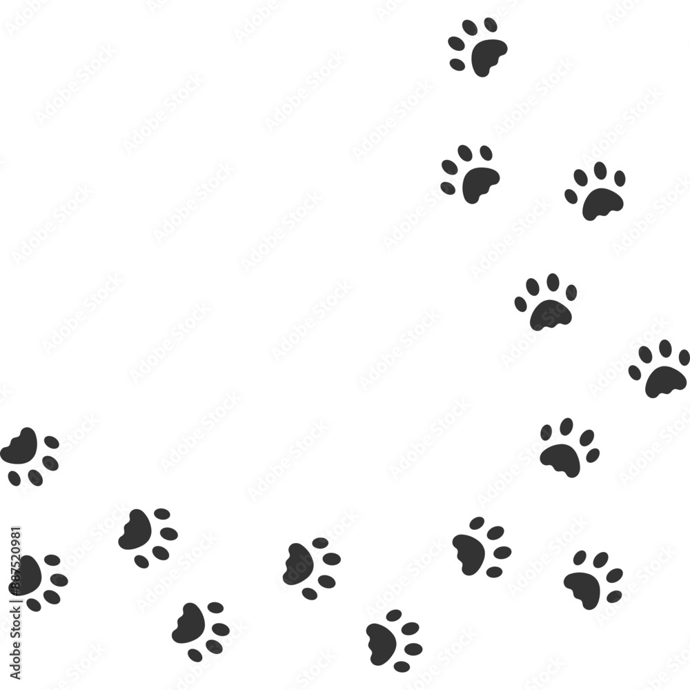 Cat Paw Trail Cat Paw Trail