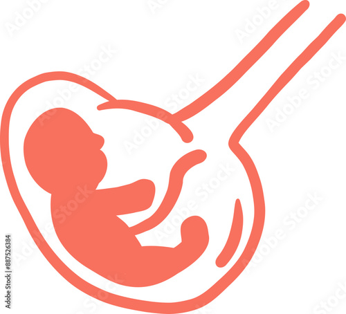 womb Human organ illustration anatomical for medicine, biology, education