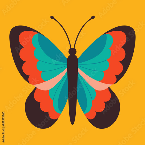 Butterfly vector illustration