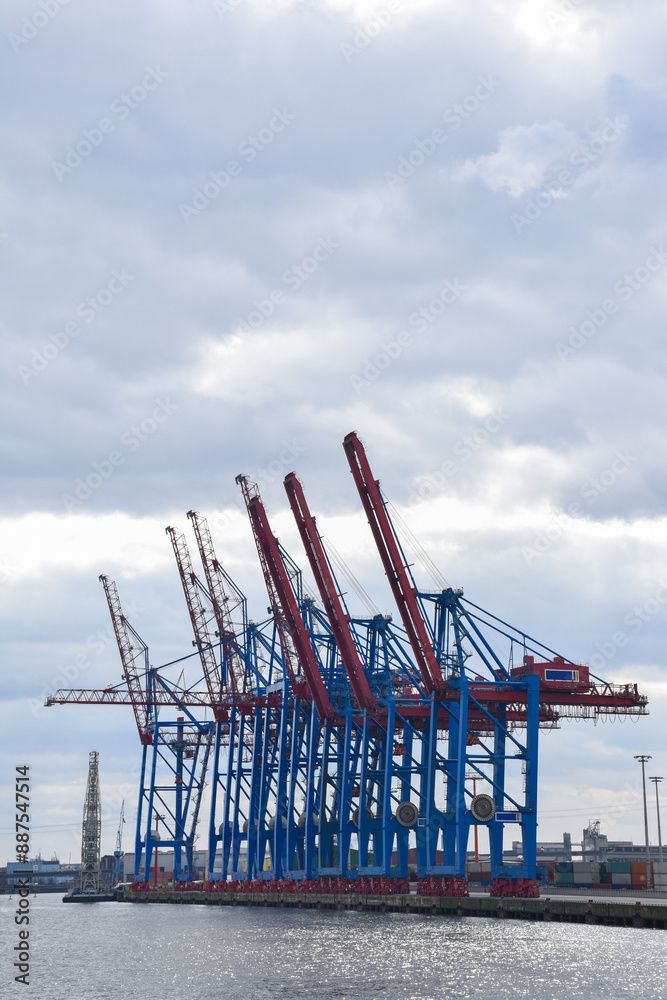 Fototapeta premium Cranes in the port of Hamburg.