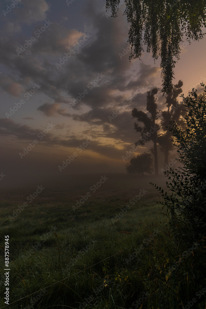 Obraz premium Misty landscape in the morning