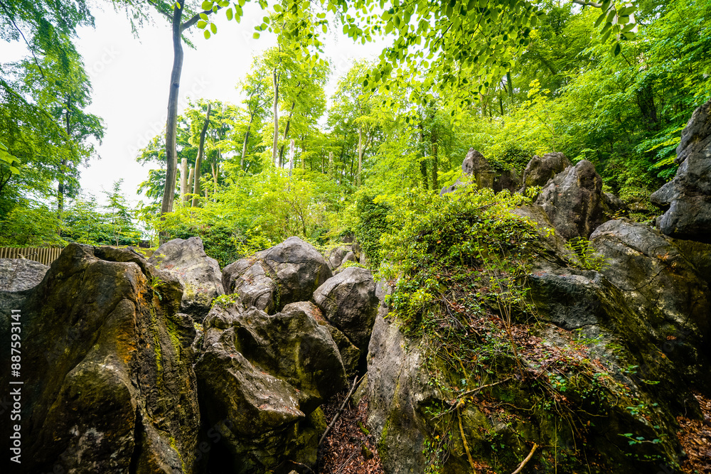 Path through nature at the Felsenmeer in Hemer. Forested biotope with rocks in the Sauerland.

