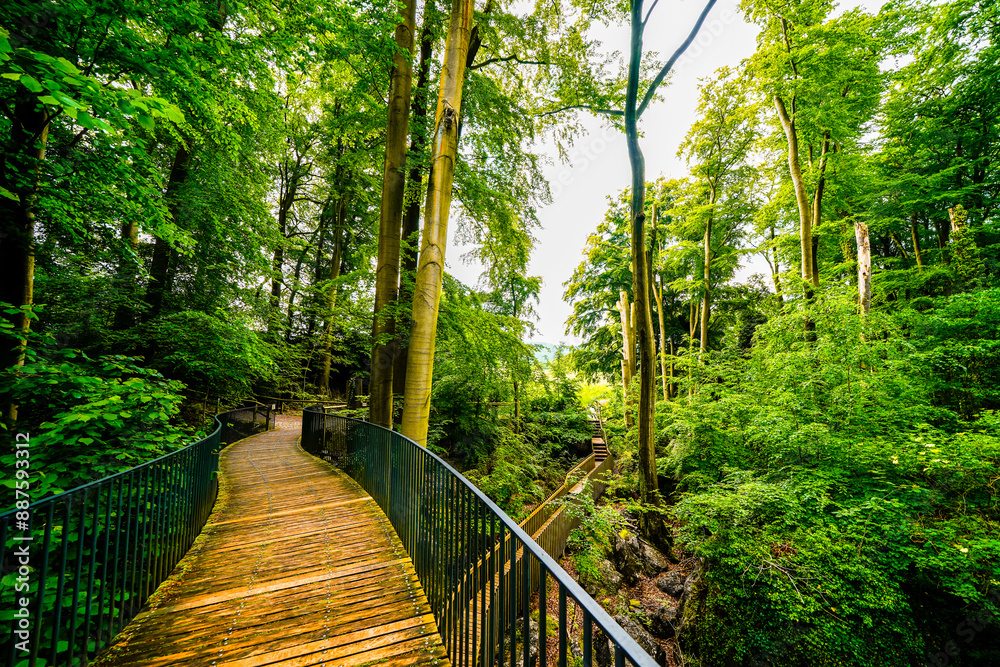 Obraz premium Path through nature at the Felsenmeer in Hemer. Forested biotope in the Sauerland. 