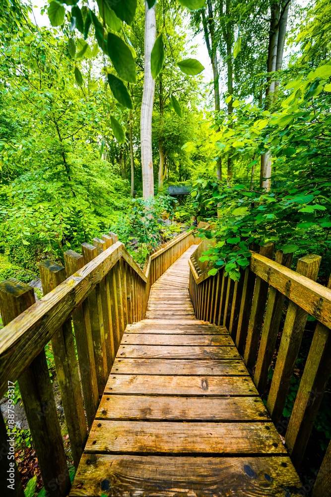 Path through nature at the Felsenmeer in Hemer. Forested biotope in the Sauerland.
Path through nature at the Felsenmeer in Hemer. Forested biotope in the Sauerland.