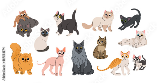 Cute cartoon cat breeds set. Adorable domestic cats sitting, standing. Fluffy birman, oriental, cornish rex, maine coon, sphynx, siamese, shorthair, persian. Lovely kitten flat vector collection.