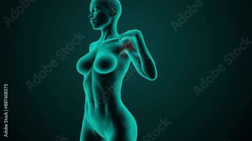 X-ray scan of the shoulder joint of a young adult woman with shoulder pain caused by trauma or inflammation. Medically accurate 3D animation