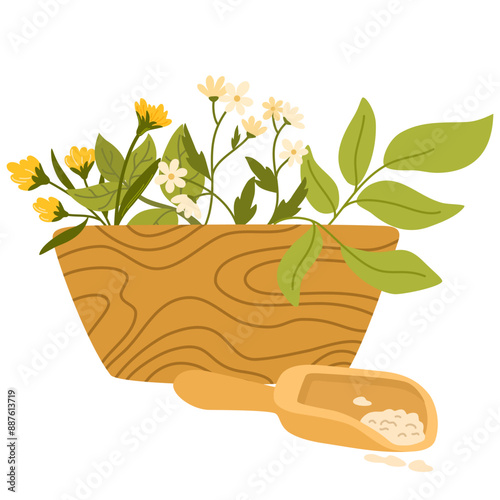 Healing herbs in mortar with pestle. Herbal and floral plants in wood bowl for grinding. Organic natural folk medicine from flower, leaf. Flat vector illustration isolated on white background