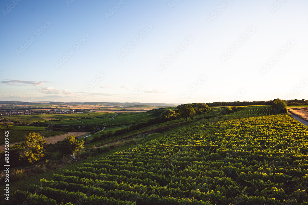 Napoleonsturm bei Sprendlingen in Rheinhessen, Juli 2024