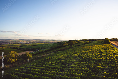 Obraz na płótnie Napoleonsturm bei Sprendlingen in Rheinhessen, Juli 2024 w salonie