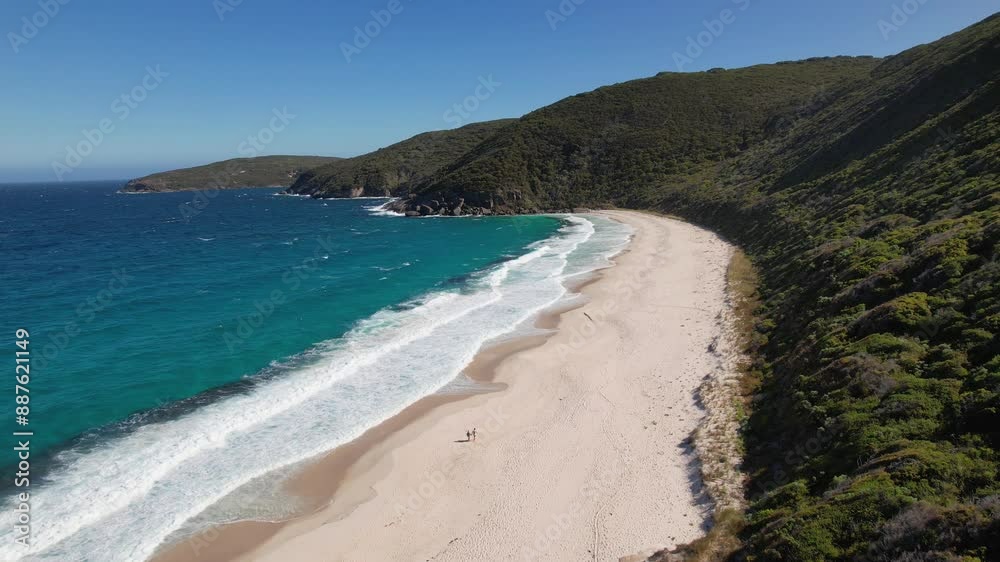 4K Drone Video of a couple walking along the white sand next to the blue ocean waves of Shelley Beach in Albany, Western Australia The beach is surrounded by lush green mountain landscapes. 4K Drone Video of a couple walking along the white sand next to the blue ocean waves of Shelley Beach in Albany, Western Australia The beach is surrounded by lush green mountain landscapes.
