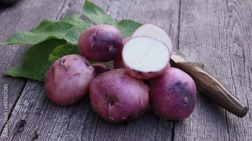 organic variety potatoes close up