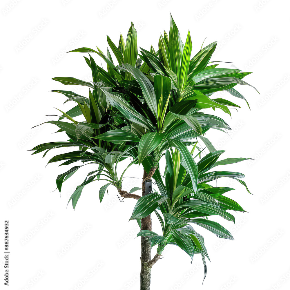 Plant And Tree, Generative AI Plant And Tree, Generative AI