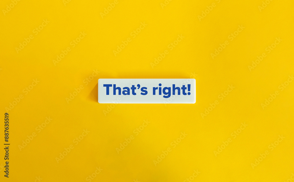 That’s Right Phrase. Concept of Confirming or Affirming the Accuracy or Correctness of a Statement or Action. Blue Text on Block Letter Tile against Yellow Background. That’s Right Phrase. Concept of Confirming or Affirming the Accuracy or Correctness of a Statement or Action. Blue Text on Block Letter Tile against Yellow Background.
