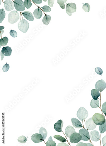 Floral illustration with eucalyptus leaves. Watercolor botanic vector frame for wedding or greeting card.