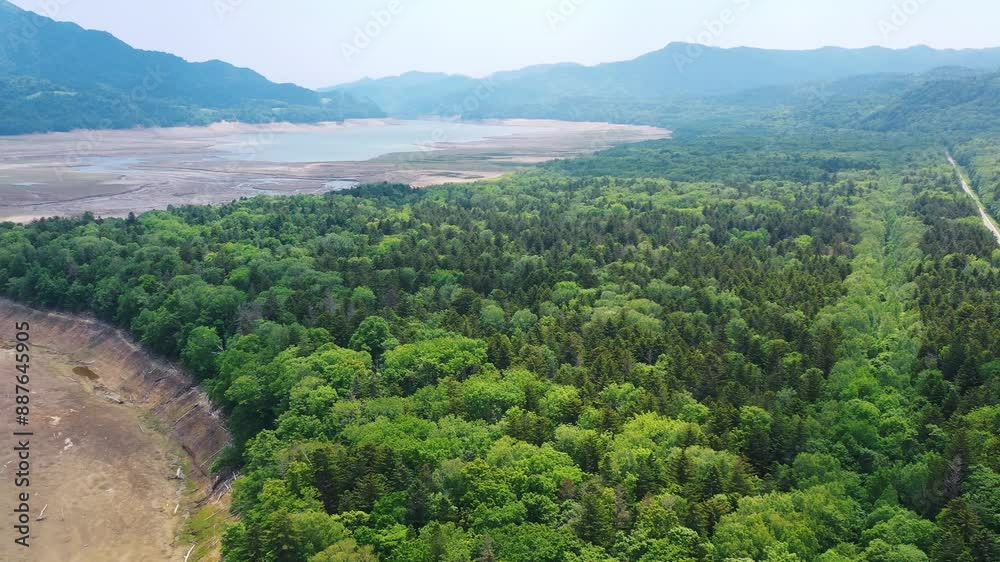 春・夏の平原と森を空撮、緑が満ち溢れている　Aerial view of plains and forests in spring and summer, overflowing with greenery
