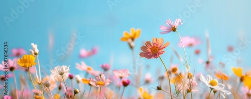 Vibrant poppies dance in a sun-kissed meadow, a breathtaking floral tapestry of nature's beauty