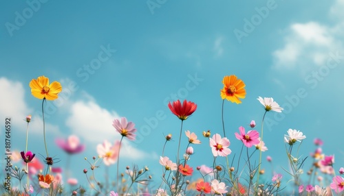 Vibrant poppies dance in a sun-kissed meadow, a breathtaking floral tapestry of nature's beauty