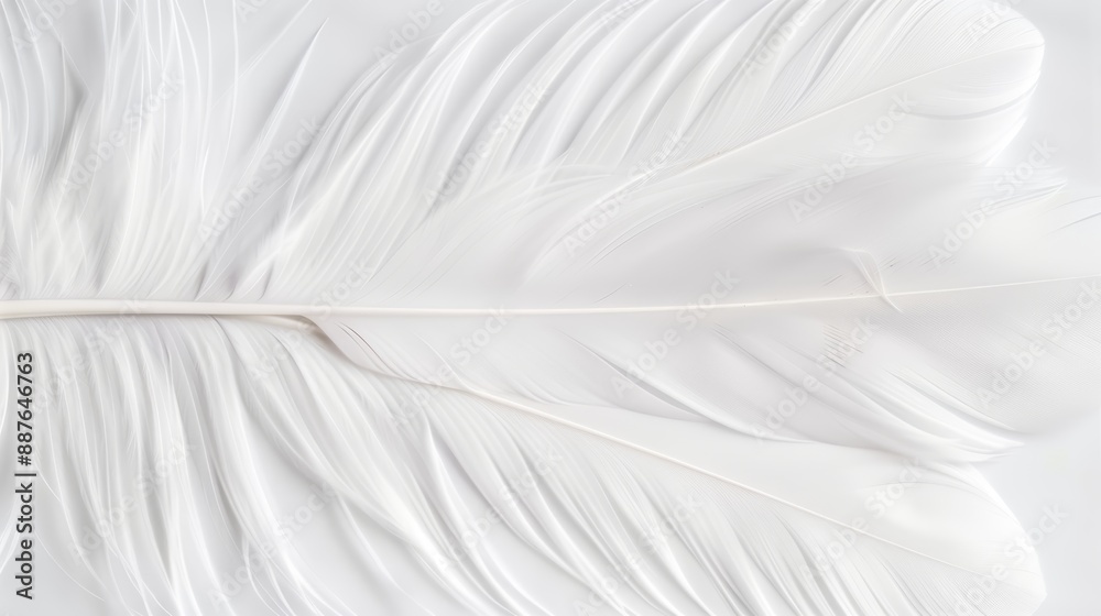 Obraz premium Closeup of delicate white feathers on a serene background, representing peace and spirituality