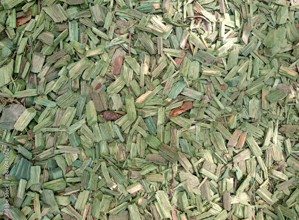 Light green rectangular large sawdust in the sun's rays - background with wood texture - horizontal photo Light green rectangular large sawdust in the sun's rays - background with wood texture - horizontal photo